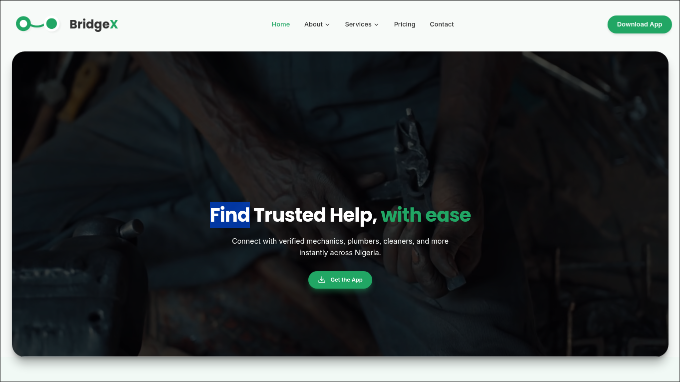 BridgeX Website image 2